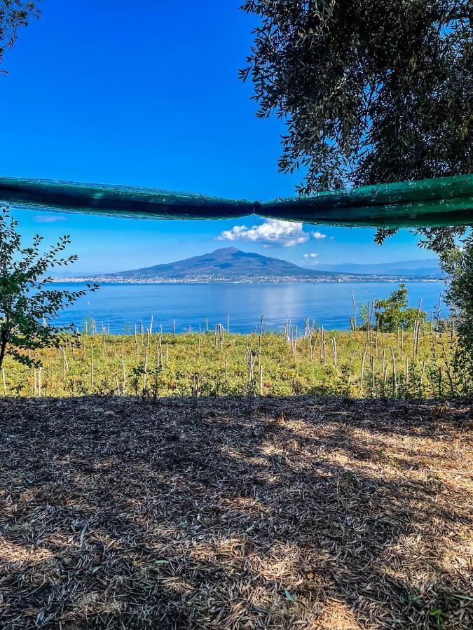 Antica Tenuta Celotto วีโกเอเกวนเซ ภายนอก รูปภาพ